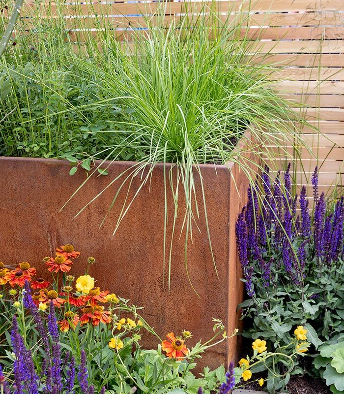 A steel trough planter surrounded by a variety of perennials chosen for their late-summer color and texture