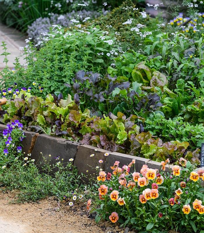 A steel trough planter surrounded by a variety of perennials chosen for their late-summer color and texture