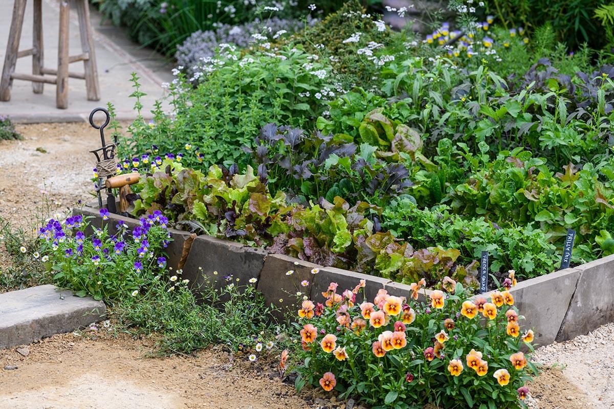 A steel trough planter surrounded by a variety of perennials chosen for their late-summer color and texture