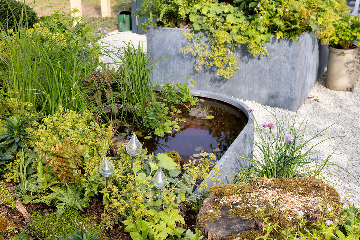 A small wildlife pond at the Hampton Court Flower Show