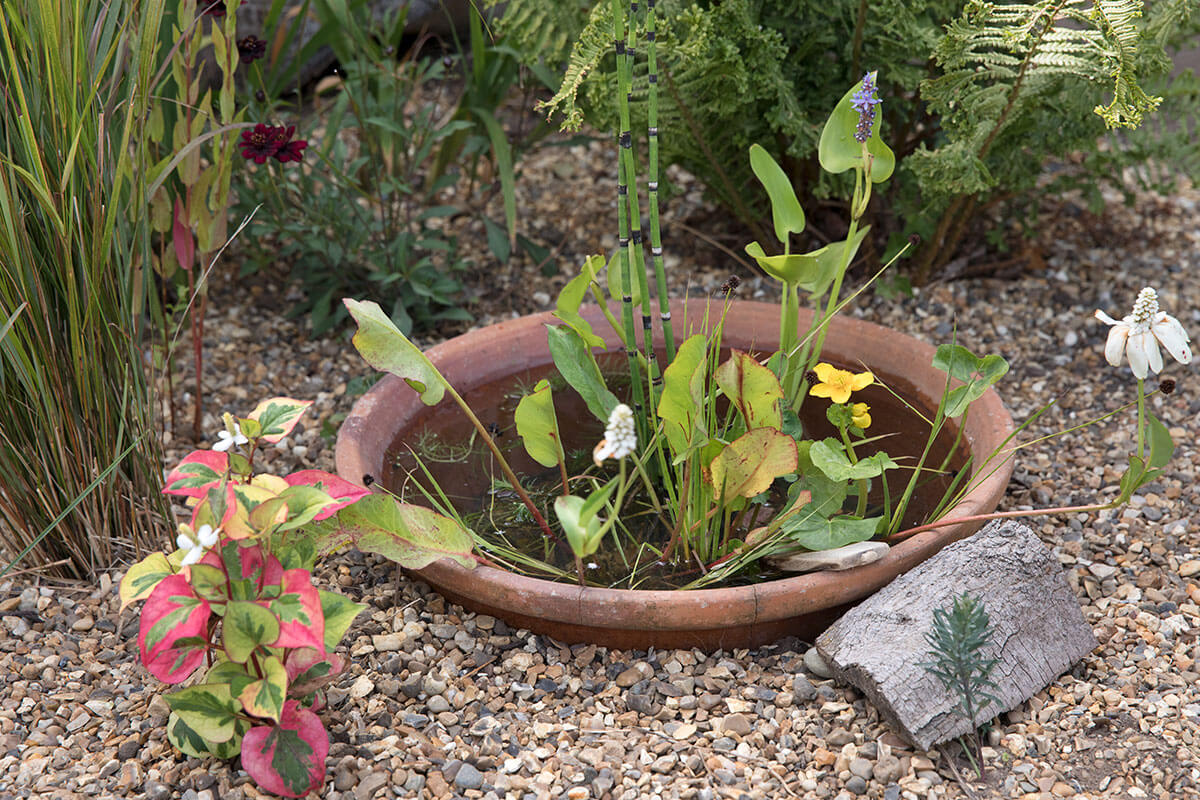 A small circular container pond
