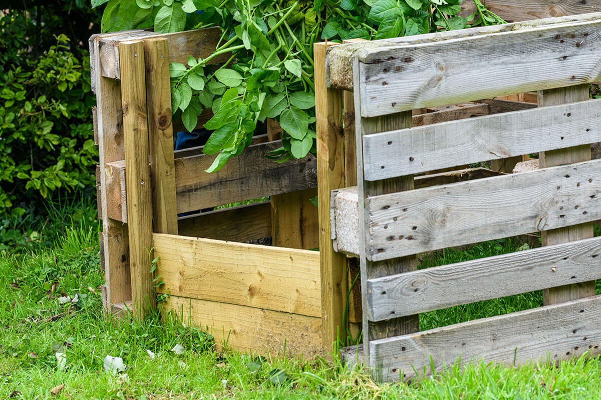 A home-made wooden compost bin