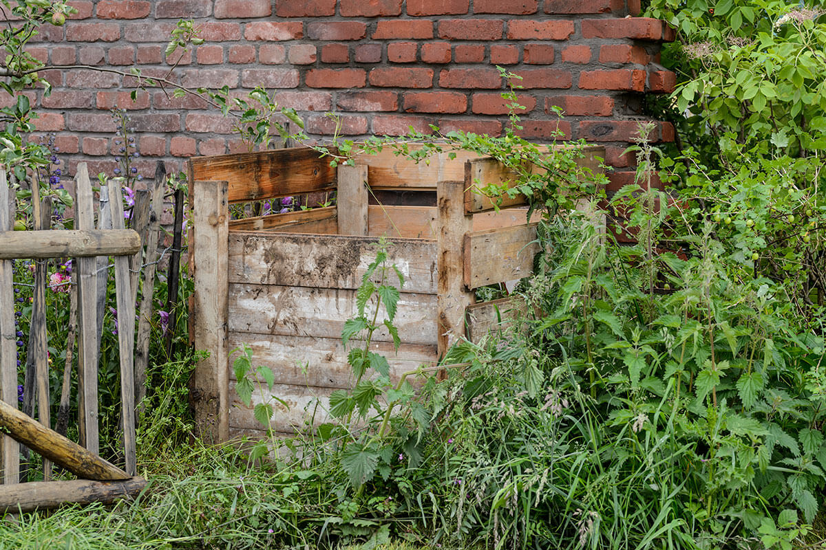 A slatted compost bin surrounded by foliage