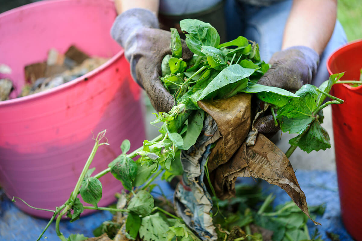 A close-up of green waste being held by gloved hands