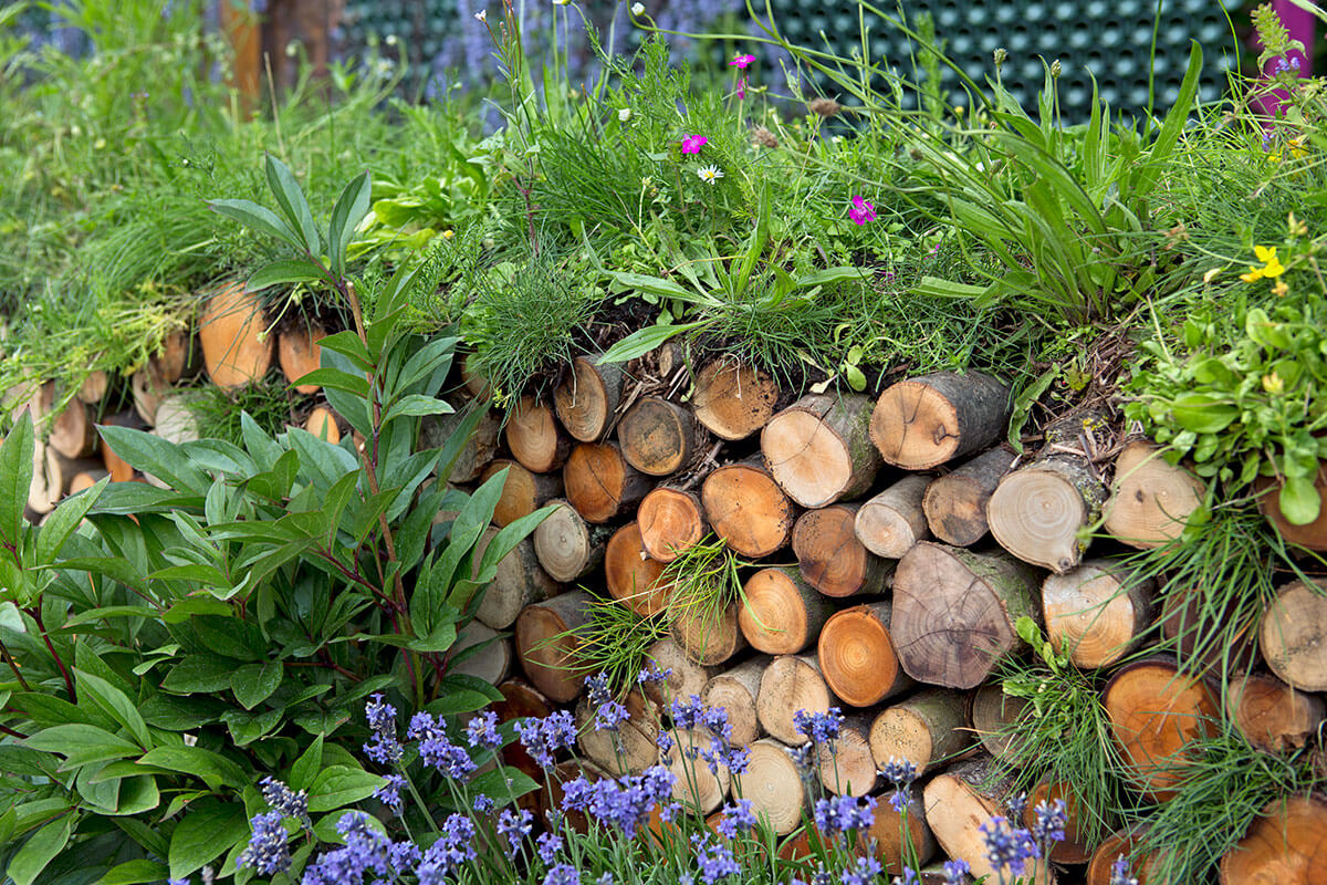 A large pile of logs with various plants and flowers growing in and around them