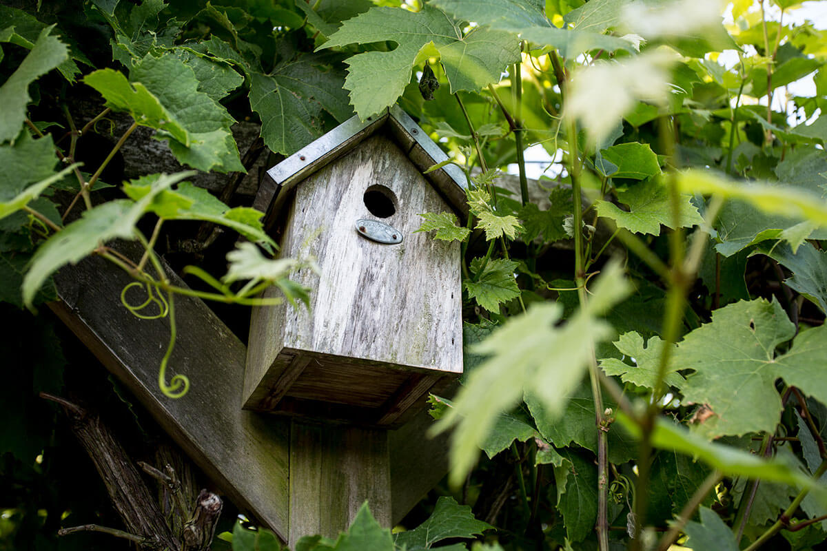 A rustic wooden birdhouse attached to a fence