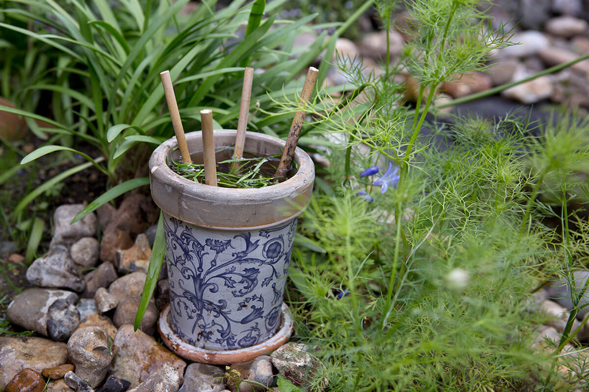 A decorative ceramic pot acting as a small wildlife lagoon