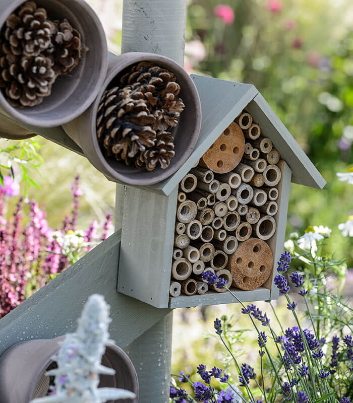 A wooden bee hotel surrounded by bright flowers